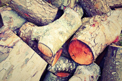 Newgale wood burning boiler costs